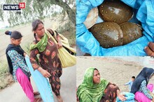 हरियाणा: कछुए चोरी कर ले जा रही महिलाओं को ग्रामीणों ने पकड़ा, किया पुलिस के हवाले, देखें Photos