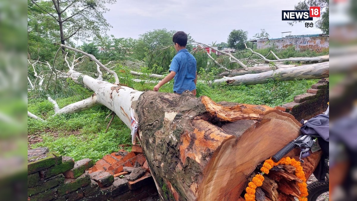 Uttarakhand: देहरादून में सिटीजन फॉर ग्रीन ने पेड़ पर फूल मालाएं चढ़ाकर जताया विरोध जानें वजह
