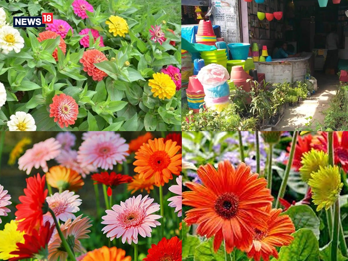 PHOTOS कानपुर के इस बाग से आती है गंगाजमुनी तहजीब की 'खुशबू', बगिया में खिले हैं हर मजहब के