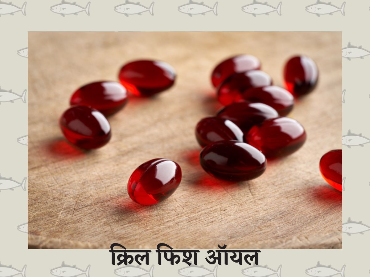 क्रिल फिश ऑयल शरीर की सूजन को करेगा कम! जानिए अन्य फायदे - what is