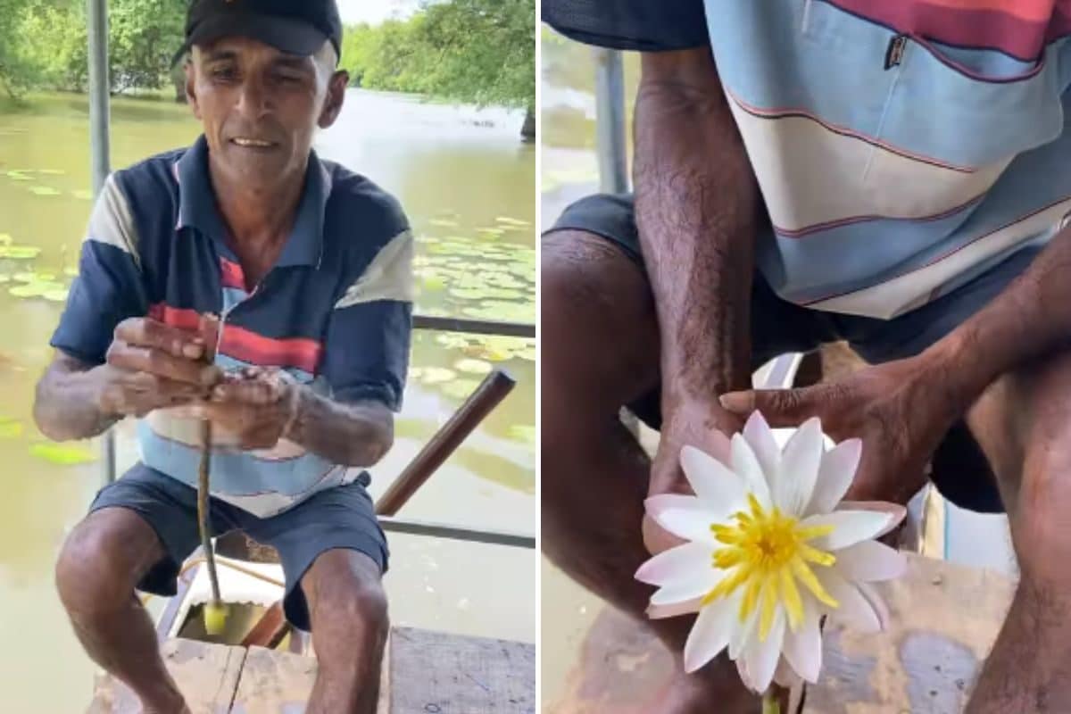 man makes necklace from waterlily