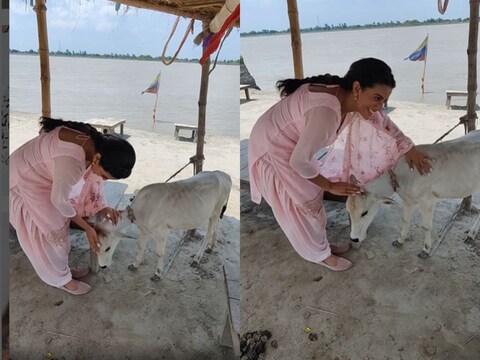 अक्षरा सिंह ने गाय के बच्चे संग बिताया टाइम