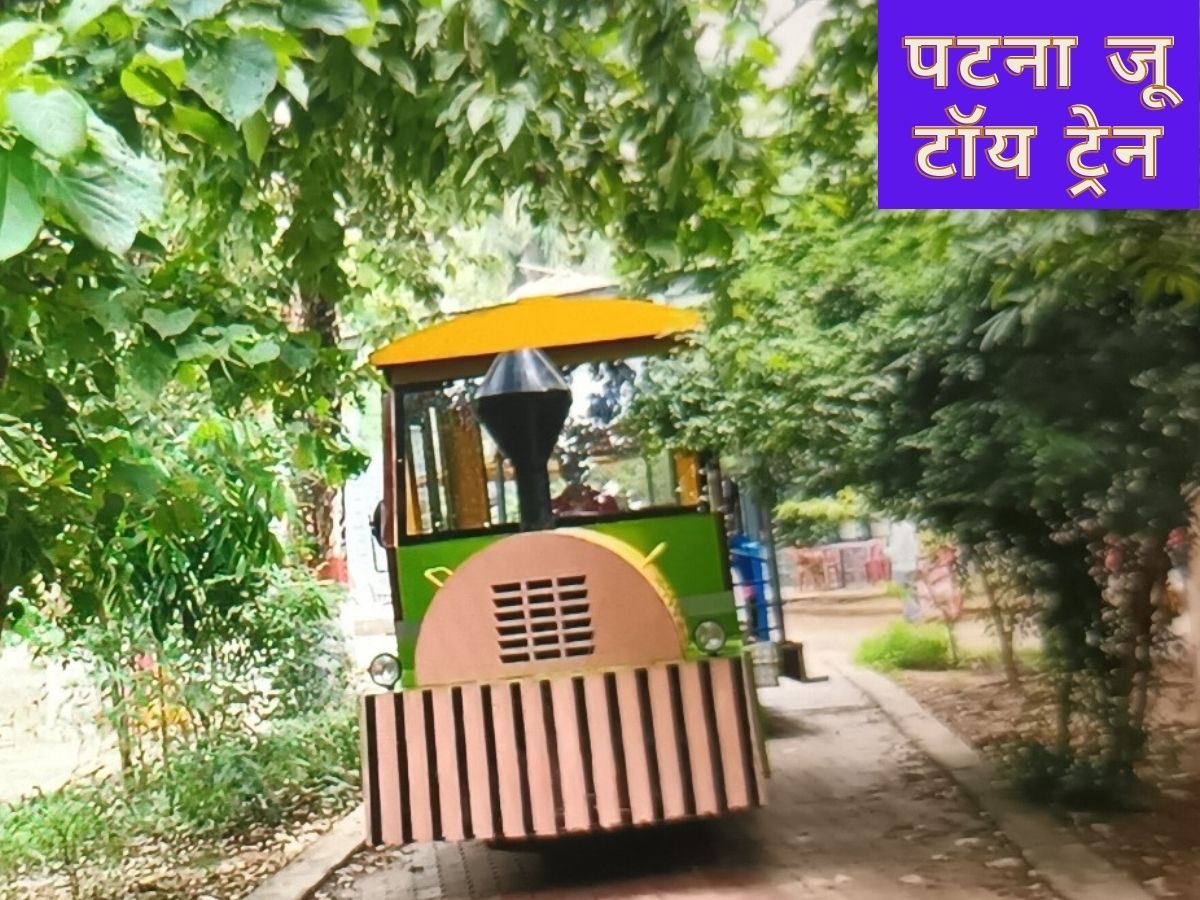 पटना जू में फिर शुरू हुई छुकछुक रेल, टॉय ट्रेन में करें जंगल के राजा