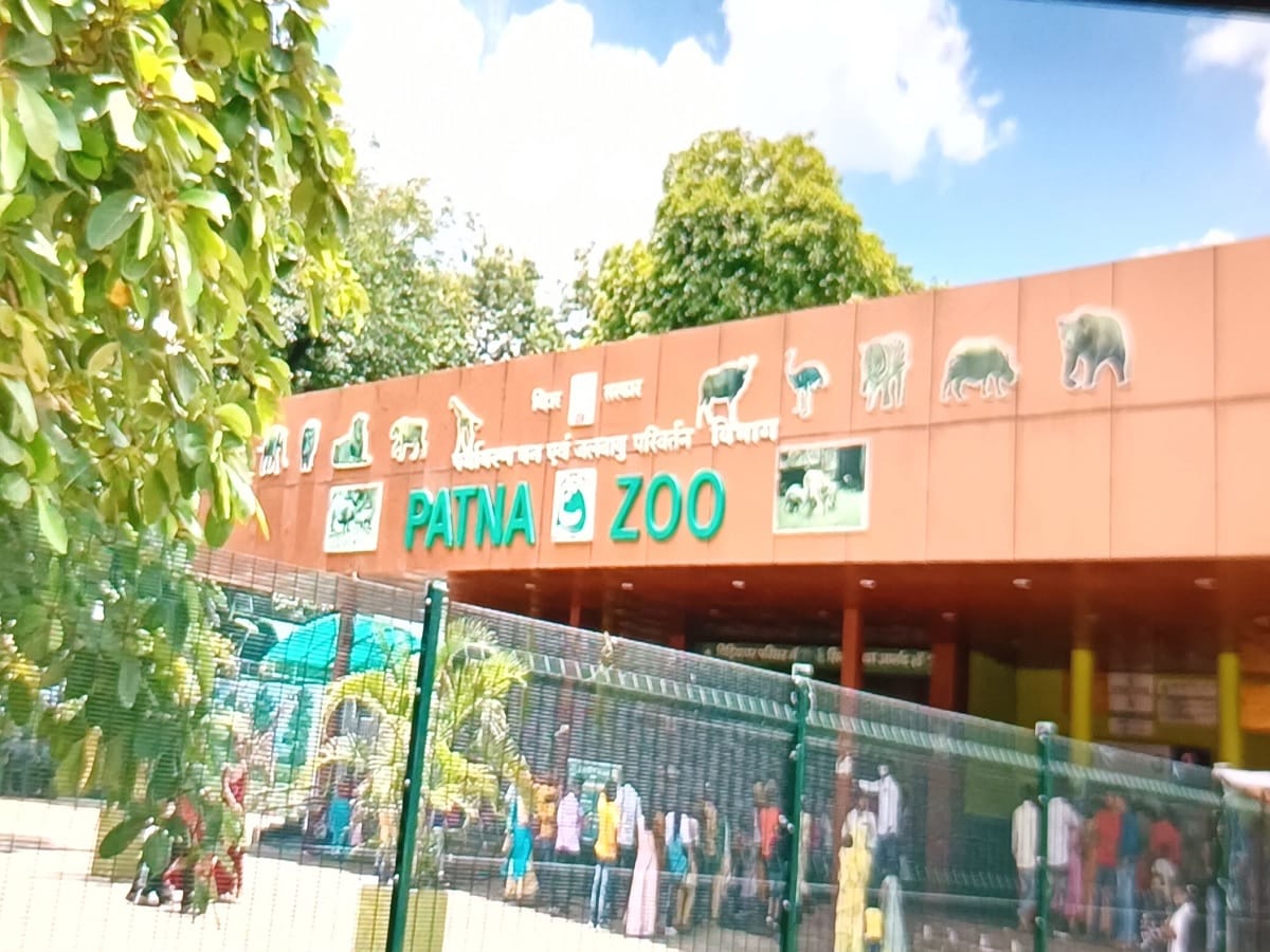 पटना जू और इको पार्क रहेगा बंद, घूमने का प्‍लान बनाया है तो पहले पढ़