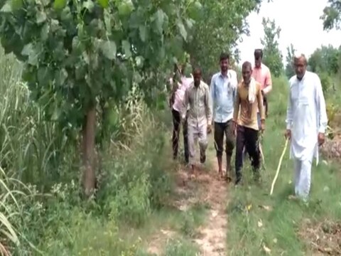 मुजफ्फरनगर की जानसठ तहसील के वाजिदपुर कवाली गांव में इन दिनों एक सांड ने आतंक मचा रखा है.