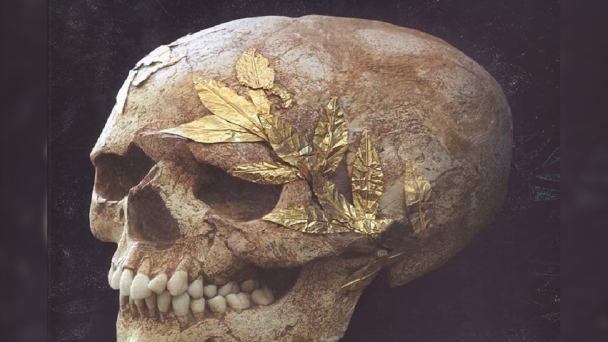 प्राचीन खोपड़ी पर चिपकी हैं सोने की पत्तियां मुंह में मिले चांदी के सिक्के