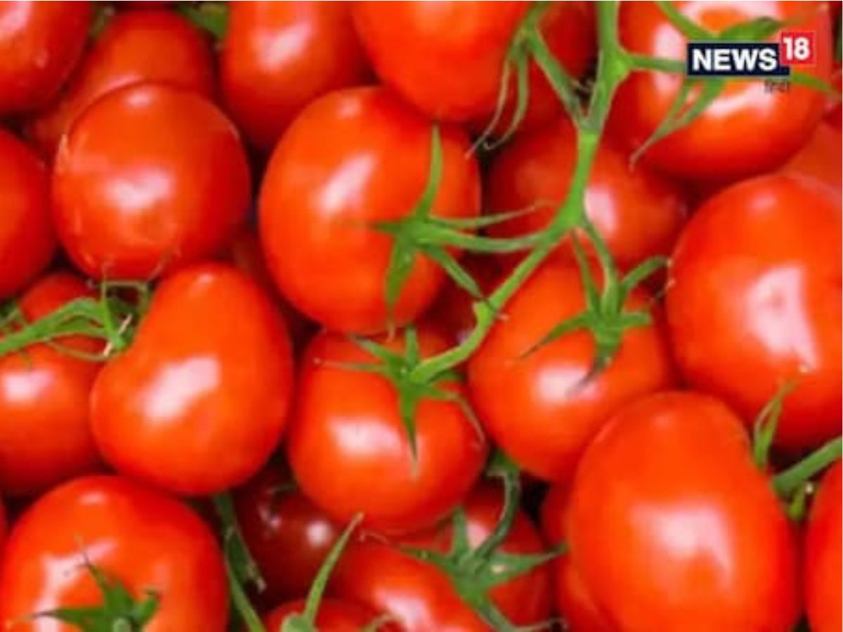 3 रुपये किलो हुआ टमाटर का भाव, मंडी में फिर भी नहीं बिका तो किसानों ने