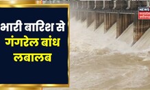 Dhamtari News: लगातार हो रही Rain से लबालब हुआ Gangrel Dam, 4 Gate खोले गए | Latest News | Rain News