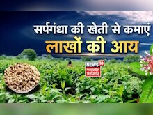 Annadata: सर्पगंधा की खेती से कमाएं लाखों की आय, जानें Sarpagandha खेती की उन्नत किस्मों के बारे में