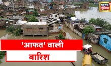 Flood News | Madhya Pradesh में मूसलाधार बारिश का कहर जारी, श्योपुर में कई गाँव बने टापू