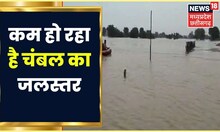 Sheopur News: कम हो रहा Chambal River का जलस्तर, 40 गांवों पर आई थी आफत। Flood In MP