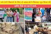 Rajasthan: अब गायों के सामने नहीं होगा भूख का संकट, हर घर से जाएगी रोटी