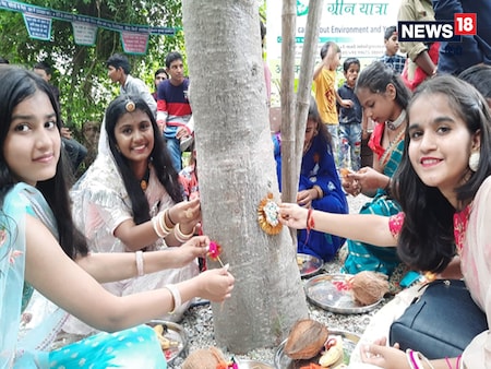 राजस्थान के इस गांव में अनोखे अंदाज में मनाते हैं रक्षाबंधन, पेड़ों को  बांधी जाती है राखी, देखें PHOTOS - unique raksha bandhan celebrated in  piplantri rajsamand by tying ...