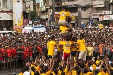 महाराष्ट्र: ठाणे में दही हांडी उत्सव के दौरान शिंदे और उद्धव के समर्थक शक्ति प्रदर्शन के लिए तैयार