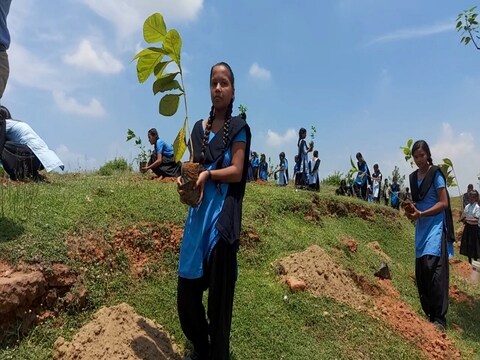 जमुई में सामूहिक पौधारोपण कार्यक्रम के तह 1 लाख छात्राओं ने 1 लाख पौधे लगाए.