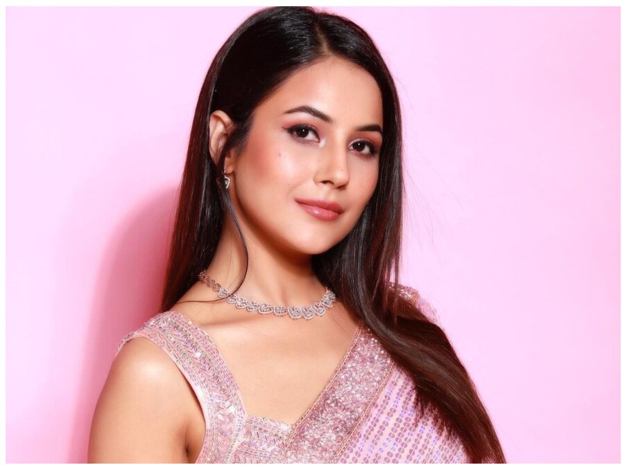 Shehnaaz Gill Early Life: शहनाज गिल का जन्म अमृतसर के ब्यास में 27 जनवरी 1997 को हुआ था (Shehnaaz Gill Birthday). शहनाज गिल के पिता का नाम संतोख सिंह सुख और माता का नाम परमिंदर कौर गिल है. उनका एक भाई है, जिसका नाम शहबाज है (Shehnaaz Gill Family). शहनाज गिल को सना के नाम से भी जाना जाता है. वो बचपन से ही एक्ट्रेस बनना चाहती थीं. शहनाज की पढ़ाई-लिखाई में कम दिलचस्पी थी.