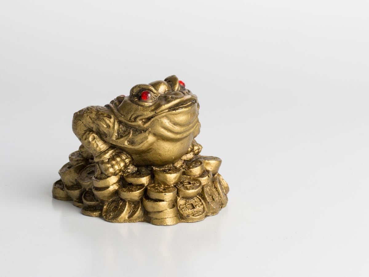 Feng Shui Frog घर की निगेटिव एनर्जी दूर करता है मेंढक, जानें इसके और