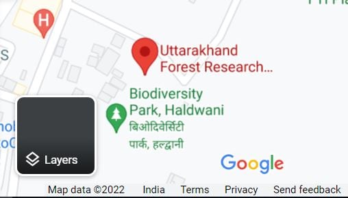 Shri Krishna Janmashtami 2022, Haldwani City, Uttarakhand Forest Research Institute Haldwani, Shri Krishna Vatika, News 18 Local, Uttarakhand News, हल्द्वानी वन अनुसंधान केंद्र, श्री कृष्ण वाटिका