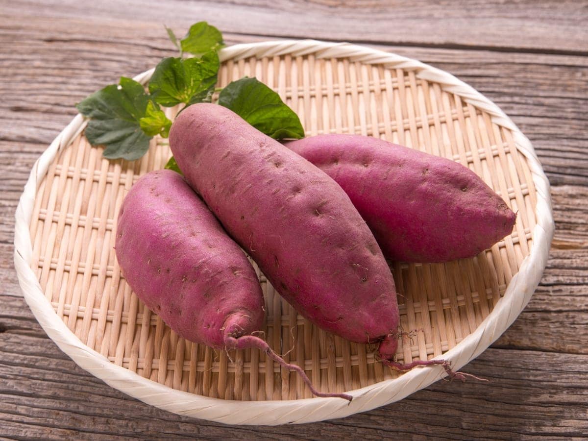 शकरकंद खाना सेहत के लिए बेहद फायदेमंद, इन बीमारियों से होता है बचाव