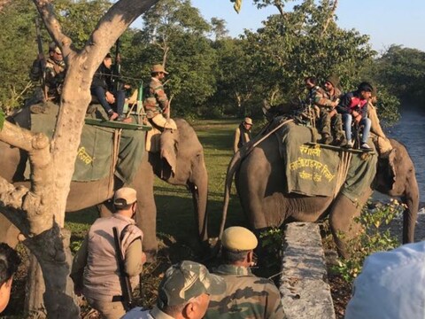 World Elephant Day: उत्तराखंड के जंगलों में हाथियों की बढ़ती आबादी से बढ़ रहा है खतरा.