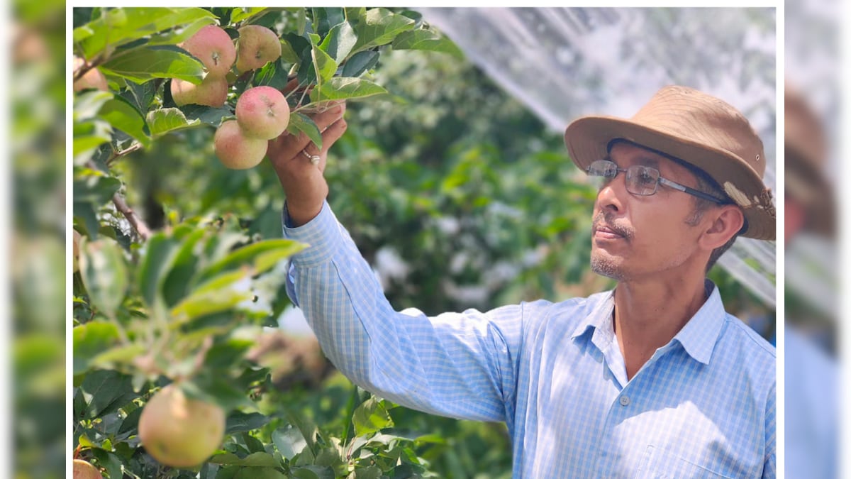इंजीनियरिंग वाला किसान: नौकरी छोड़ खेती शुरू की पिथौरागढ़ के एपल मैन बने मनोज खड़ायत