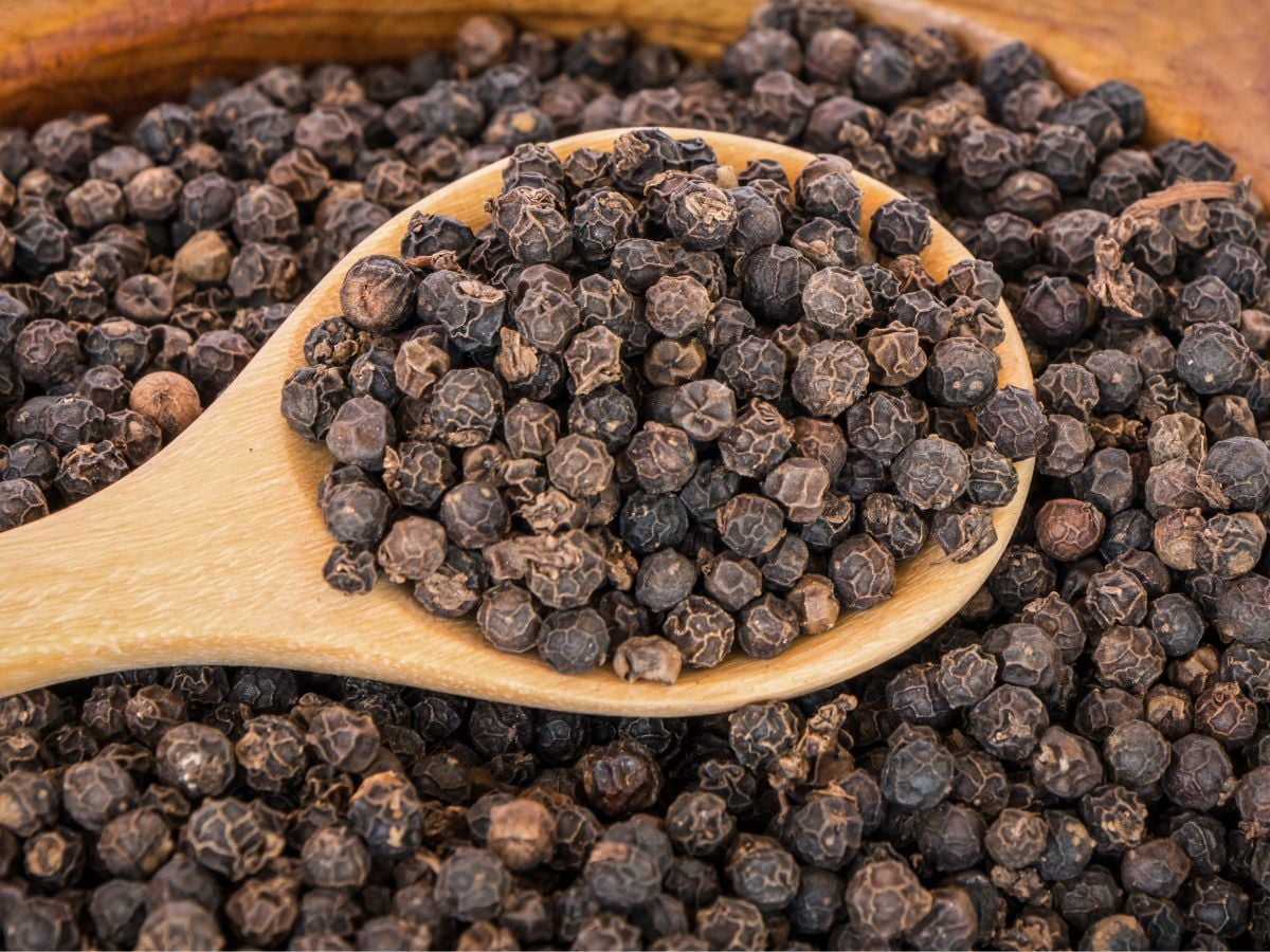 इन आसान तरीकों से करें असलीनकली काली मिर्च की पहचान, जानें इसे खाने के