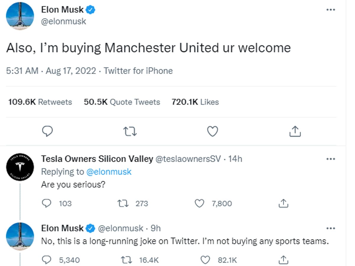 elon musk manchester united