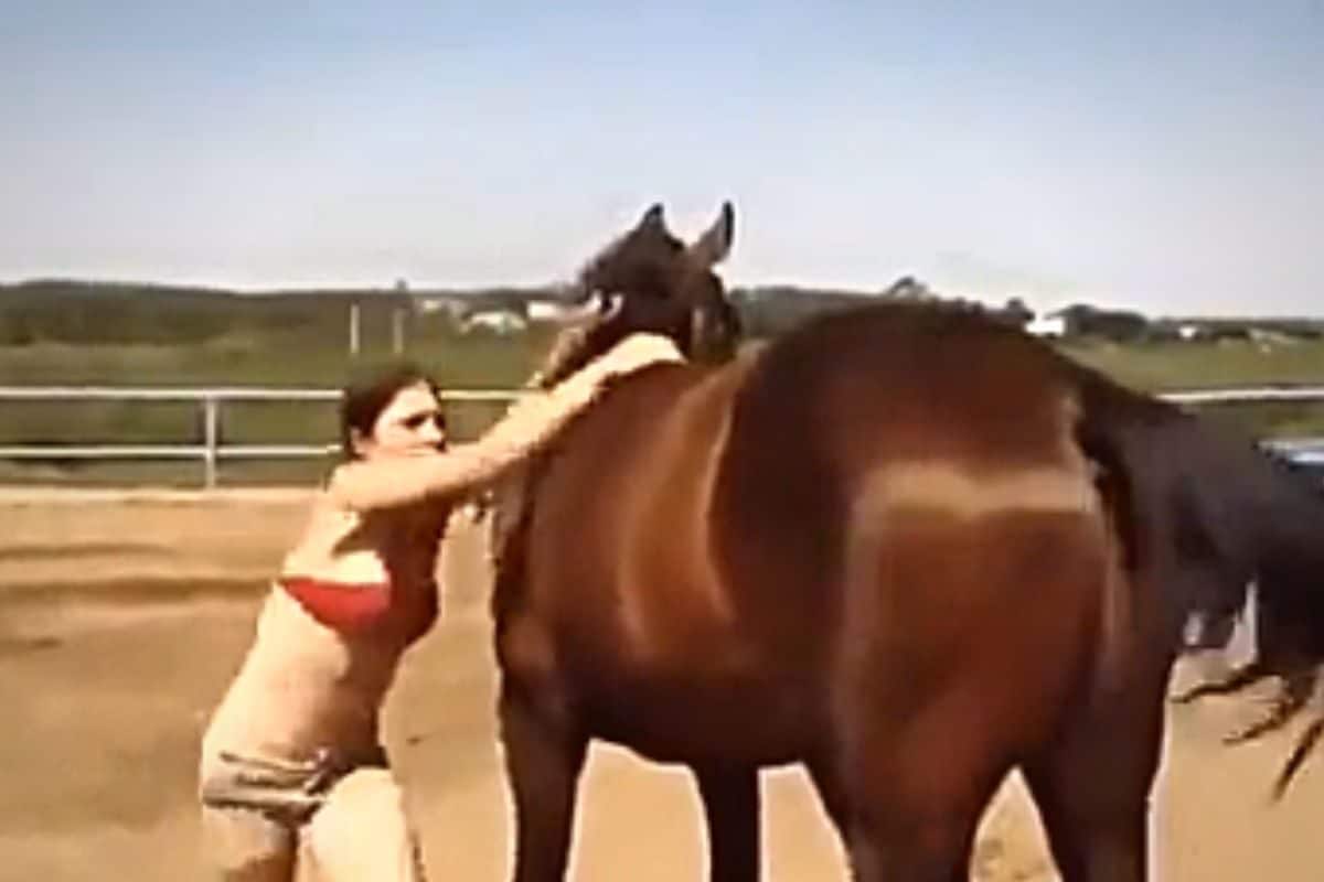 काफी कोशिशों के बाद भी घोड़े पर चढ़ नहीं पाई महिला, जानवर ने खुद ही कर दी  मदद, दिल जीत लेगा वीडियो - woman try to climb horse animal help her to