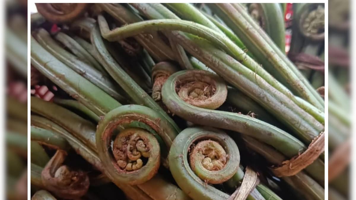 Linguda Vegetable: स्वाद और सेहत से भरपूर है यह पहाड़ी सब्‍जी फायदे जानकर रह जाएंगे हैरान