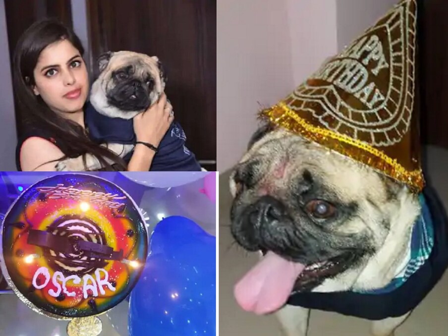 बाकयदा कैप लगाकर डॉगी अपना बर्थडे सेलिब्रेट करने के लिए आया तो सभी दंग रह गए. लोगों ने हैप्पी बर्थ डे टू गीत गाकर बेज़ुबान की लंबी आयु की कामना की. मेरठ के मवाना क्षेत्र में रहने वाले इस शख्स का डॉगी प्रेम जिसने भी देखा उसे फिल्म तेरी मेहरबानियां भी याद आ गई.यहां डॉगी के बर्थ डे सेलिब्रेशन के लिए तकरीबन 300 लोगों को निमंत्रण भेजा गया था. एक ओर जहां ऐसे वीडियोज़ वायरल होते हैं, जहां बेज़ुबान पर क्रूरता की जाती है. तो वहीं मेरठ में एक अलग ही तस्वीर देखने को मिल रही है.