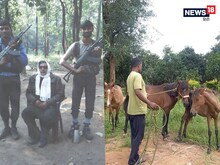 दुर्दांत नक्सली अरविंद जी की मौत के बाद उनके घोड़ों को पाल रहा झारखंड जगुआर