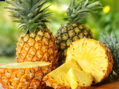 त्रिपुरा भारत का सबसे बड़ा अनानास उत्‍पादक राज्‍य है. 