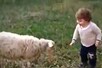 भेड़ और इंसान के बच्चे ने खूब की मस्ती, साथ में उछलते-कूदते आए नजर