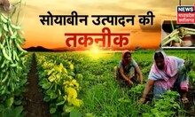 Annadata | Soybean में कीट और रोगों का कैसे करें नियंत्रण ? | Latest News | Hindi News | Farming