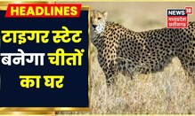 MP News:  Kuno National Park में Cheetah की दहाड़, South Africa से लाए जाएंगे Cheetah | PM Modi