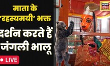 Navratri 2022 | नवरात्रि माता के मंदिर में रोज़ आता है सबसे बड़ा भक्त भालू |  Navaratri Special | Live