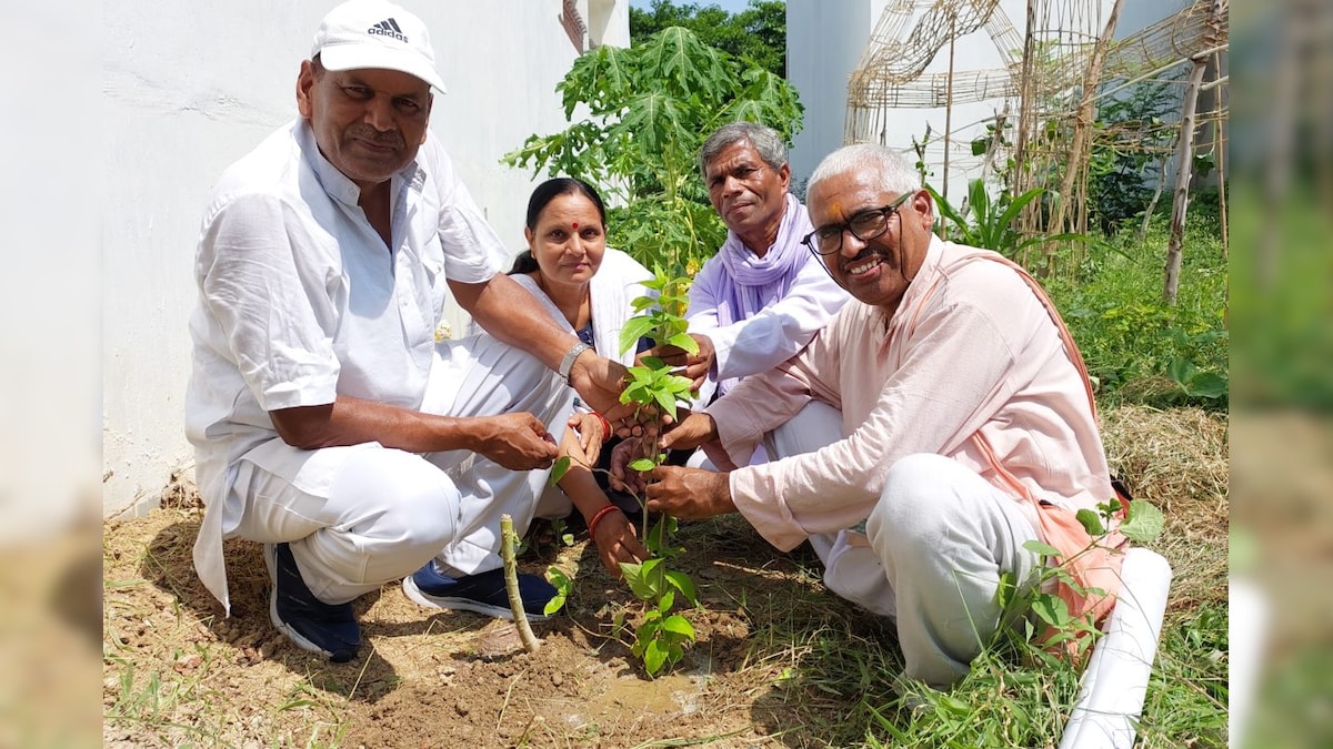 Lucknow: पौधों को बेटी मानकर करते हैं कन्यादान जानें 9 लाख पौधे लगाने वाले चंद्रभूषण तिवारी की कहानी