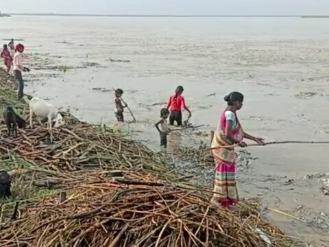 आपदा को अवसर में कैसे बदल रहे है दियारा इलाके के लोग, पढ़े यह पूरी ख़बर