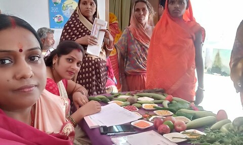 गर्ववती महिला को पोषण की जानकारी देती महिला स्वास्थ्य कर्मी