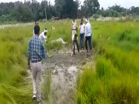 बिहार के मोतिहारी में हत्या की गुत्थी सुलझाने के लिए कब्र खोदती पुलिस