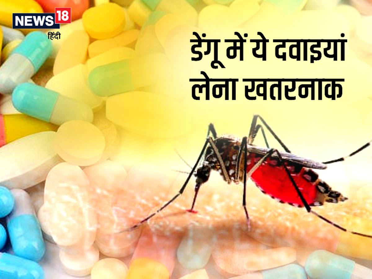 Dengue Fever ALERT! डेंगू में भूलकर भी न लें ये दवाएं, धड़ाम हो जाएंगे