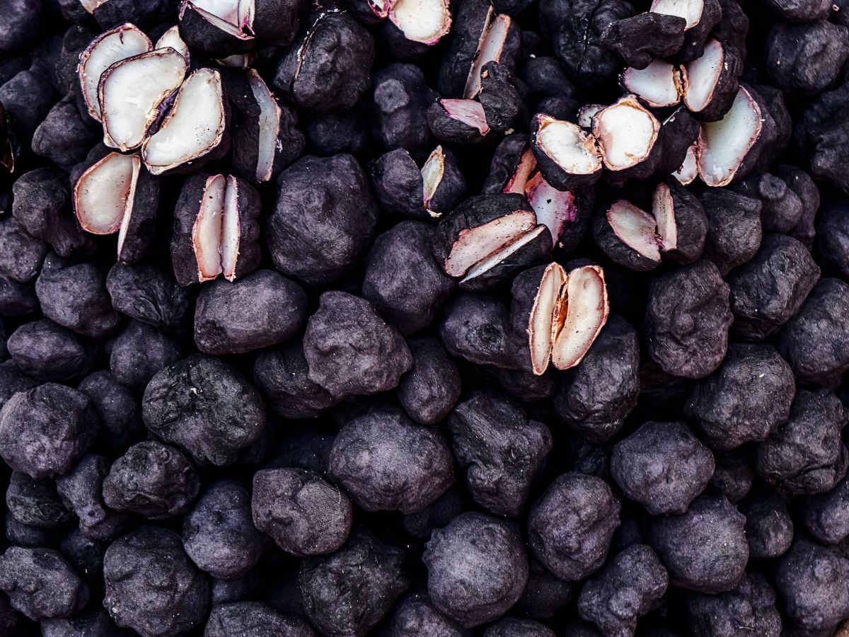 Water Chestnut Effects क्या हाई कोलेस्ट्रॉल में सिंघाड़ा खाना फायदेमंद