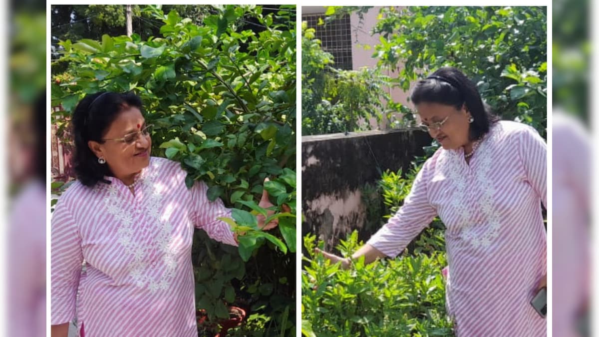 अनोखी पहल: डॉ मीनू गुप्ता ने घर को बनाया किचन गार्डन रिश्‍तेदारों को गिफ्ट में देती हैं ये पौधे