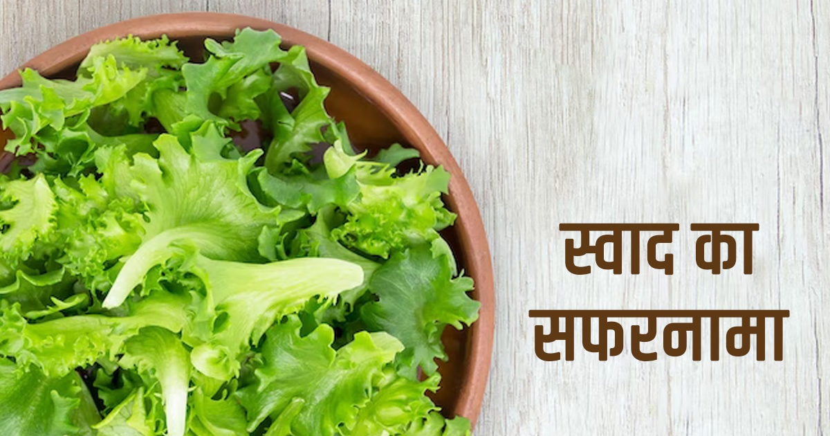 स्वाद का सफरनामा विटामिन से भरपूर सलाद के पत्तों का हजारों वर्ष पुराना