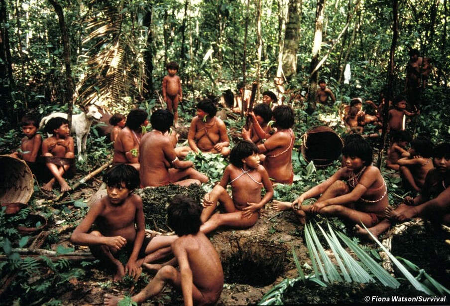 अमेजन वर्षावन में रहने वाले यानोमामी जनजाति (Yanomami) का मानना है कि मौत के बाद शरीर के आत्मा को संरक्षित रखने की जरूरत होती है. उनका मानना है कि आत्मा को तभी शांति मिल सकती है, जब उसकी लाश पूरी तरह से जल जाए और उनके लाश को जीवित रिश्तेदारों द्वारा खाया जाए.