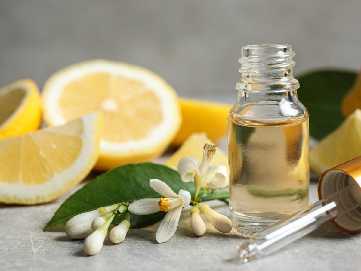 Neroli Oil Benefits: क्या होता है नैरोली एसेंशियल ऑयल, जानें इसके हेल्थ बेनिफिट्स - health and skin benefits of neroli essential oil in hindi – News18 हिंदी