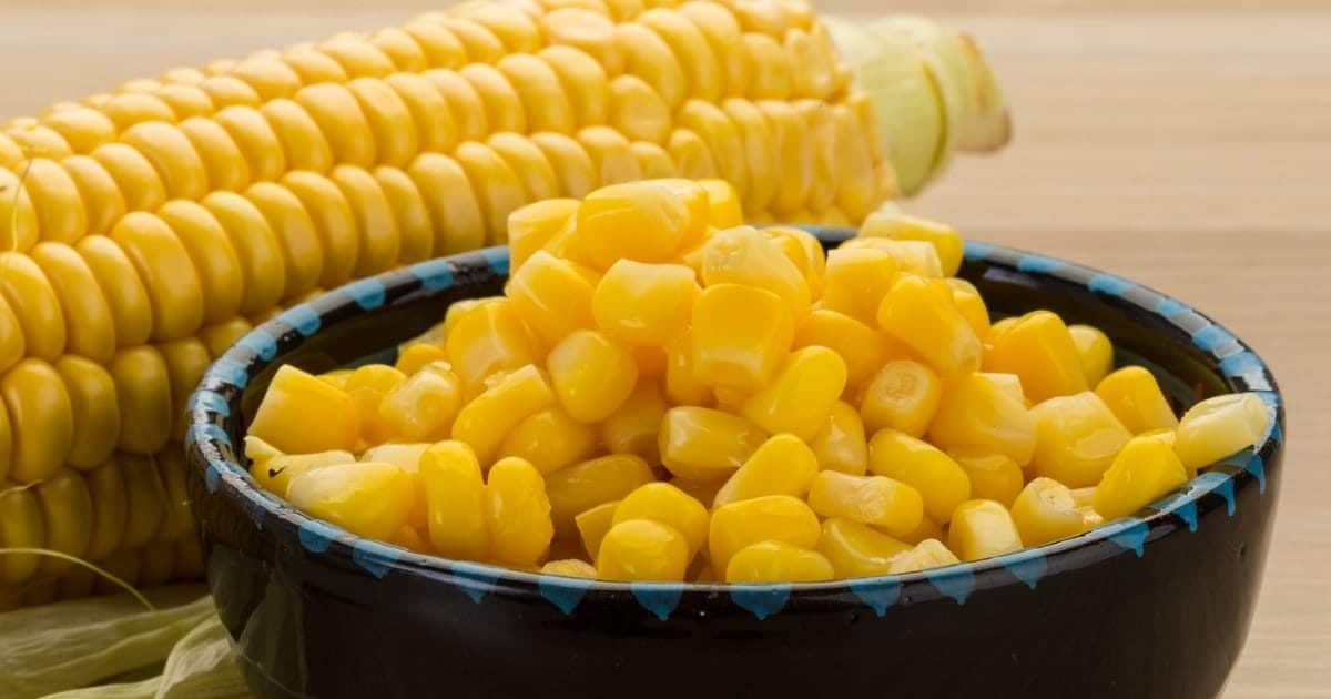 टेस्टी स्वीट कॉर्न हो सकता है वेट लॉस में कारगर, जानिए इसके फायदे