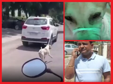 जोधपुर में डॉगी को कार से बांधकर दौड़ता डॉक्टर. 