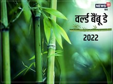 आज है वर्ल्ड बैंबू डे, बांस से जुड़ी ये 8 दिलचस्प बातें नहीं जानते होंगे आप !