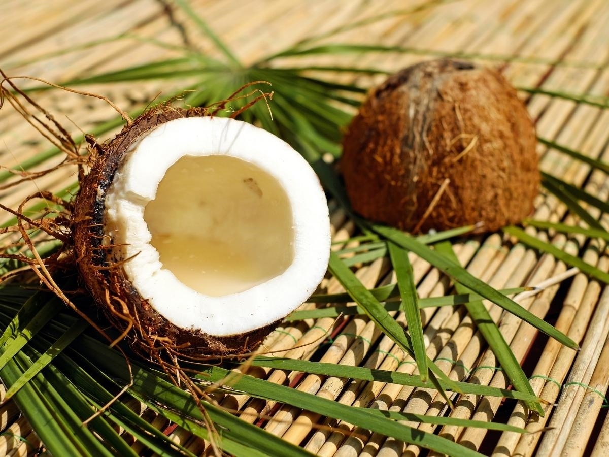 coconut navratri